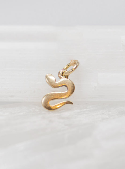 Tiny Snake Charm 00133