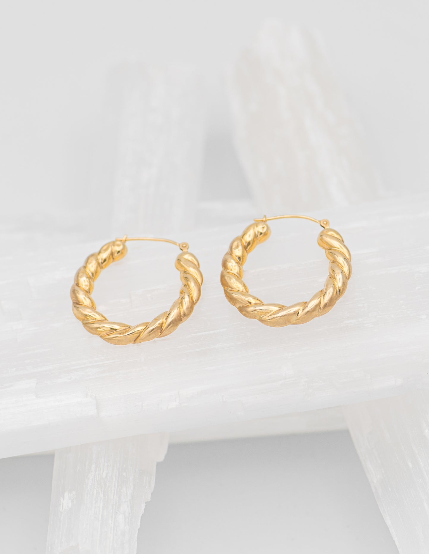 Paris Braided Hoops