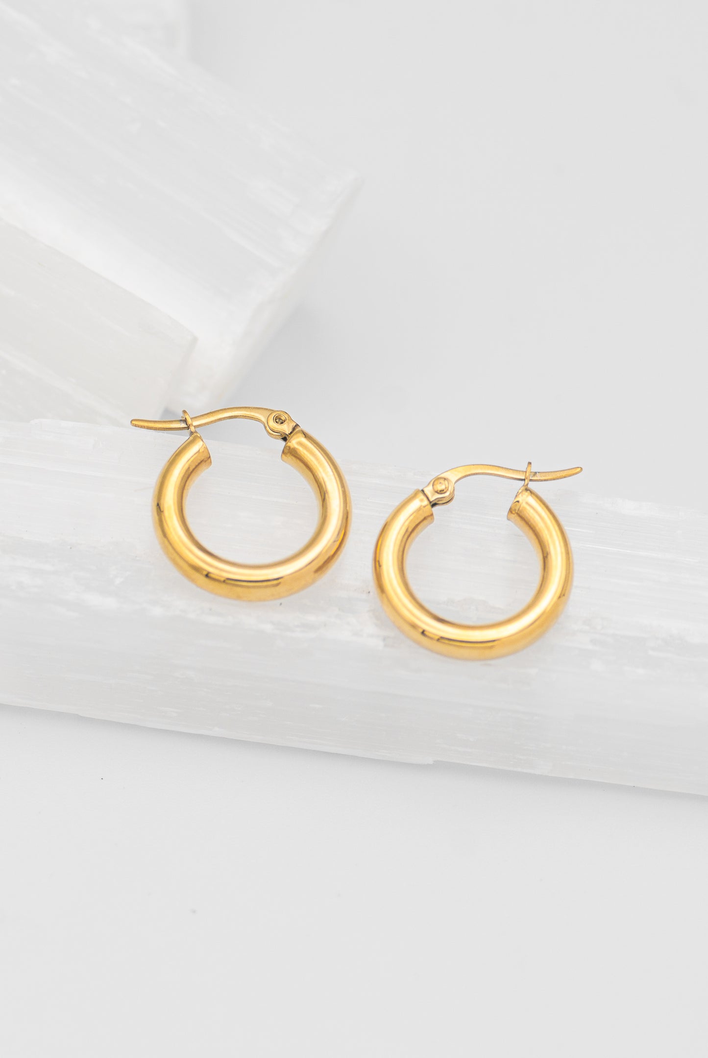 Cisco Chunky Circle Hoops