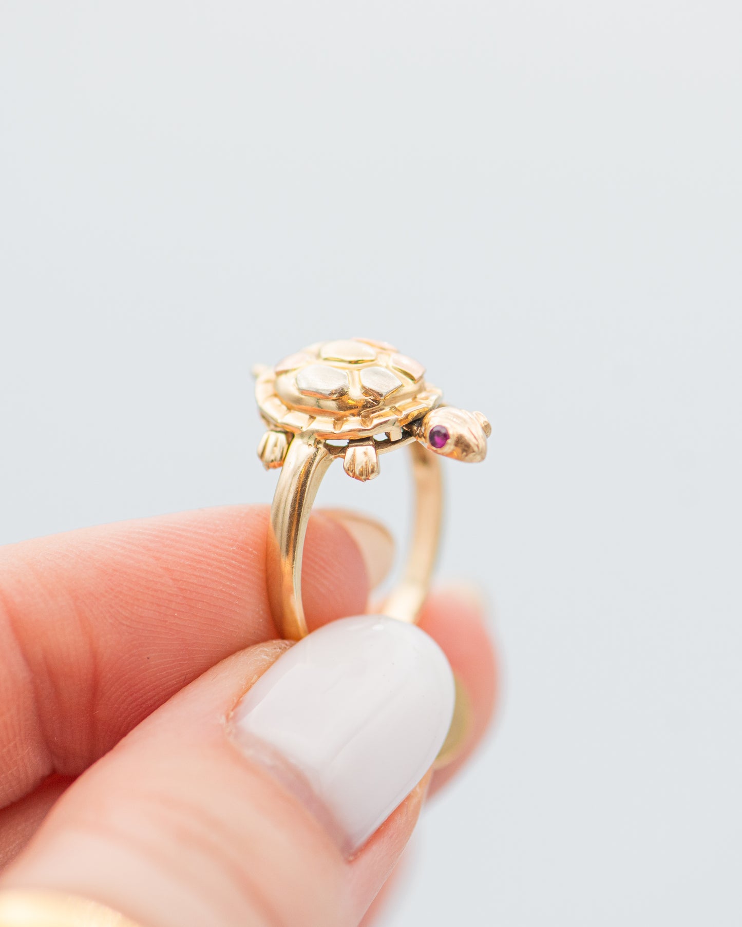 Turtle Ring 0083