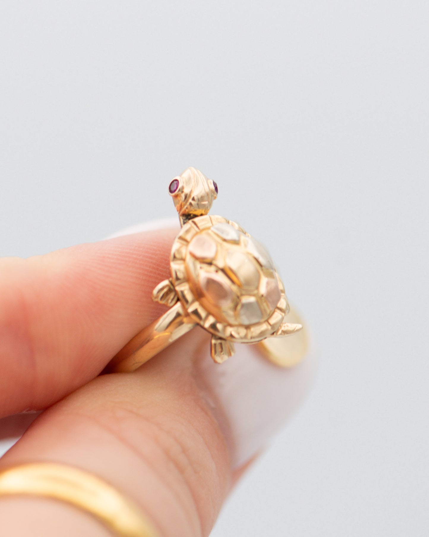 Turtle Ring 0083