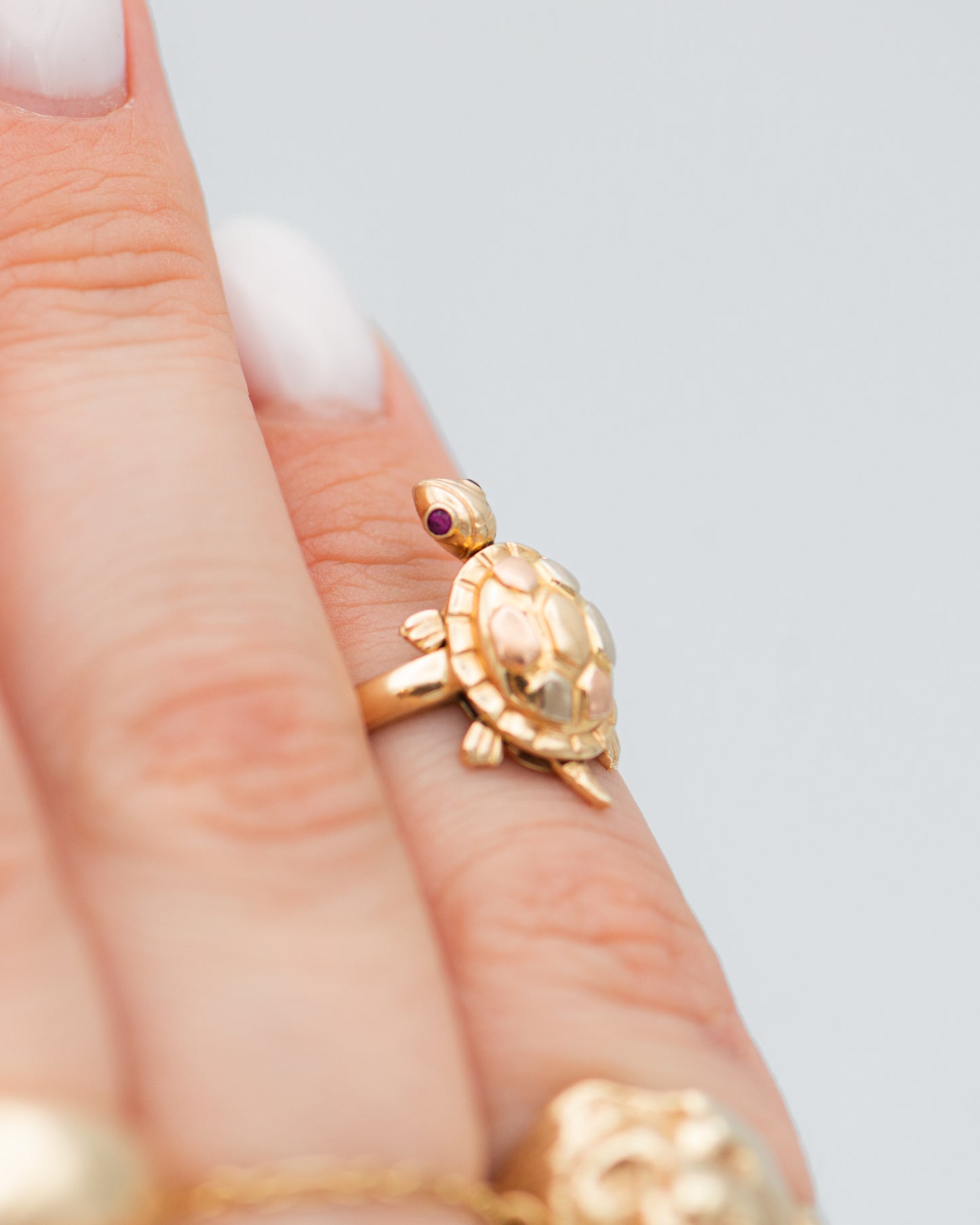 Turtle Ring 0083